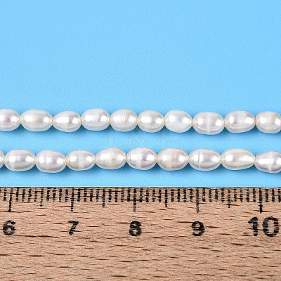 Natural Cultured Freshwater Pearl Beads Strands PEAR-N024-04-2AB-1