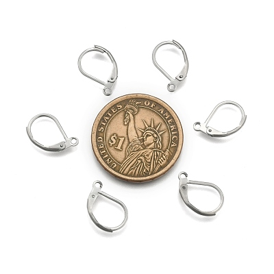 Tarnish Resistant 304 Stainless Steel Leverback Earring Findings STAS-E007-3-1