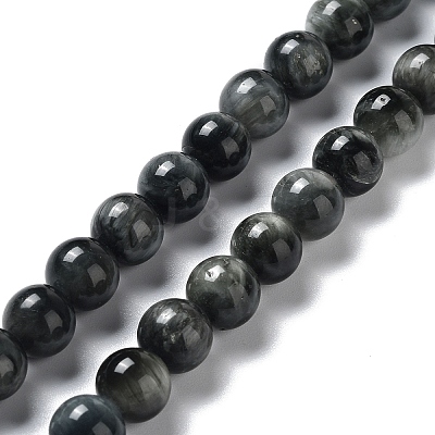 Natura Hawk's Eye Beads Strands G-D0001-22B-8mm-01-1
