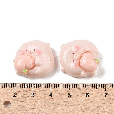 Opaque Resin Decoden Cabochons RESI-K040-01C-1