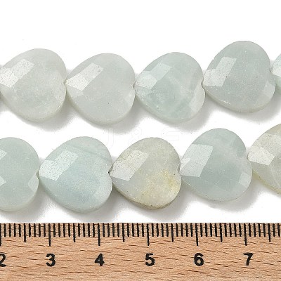 Natural Flower Amazonite Beads Strands G-A309-A10-01-1