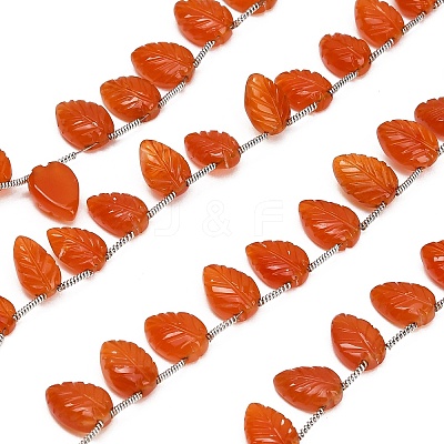Natural Carnelian Carved Beads Strands GG-CBA0C95-E06-1