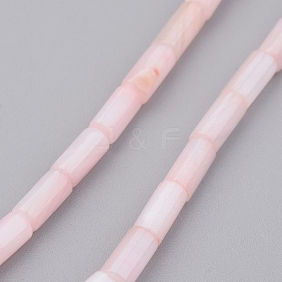 Natural Shell Bead Strands BSHE-P016-02-1