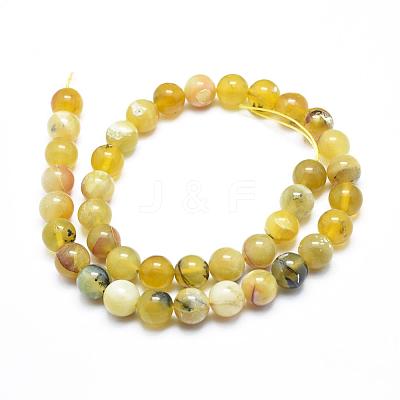 Natural Yellow Opal Round Bead Strands G-M296-02-8mm-1
