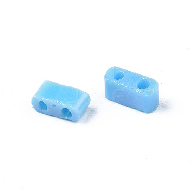 2-Hole Opaque Glass Seed Beads LS-SEED-N004-002-B01-1