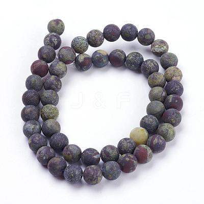 Natural Bloodstone Beads Strands G-F520-59-8mm-1