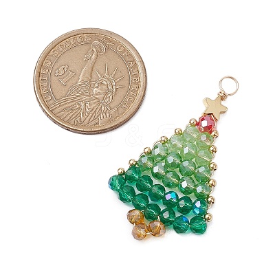 Handmade Seed Beaded Pendants PALLOY-JF03042-1