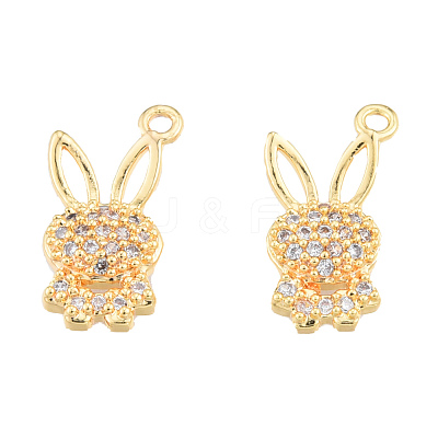 Brass Micro Pave Clear Cubic Zirconia Charms KK-N231-379-1