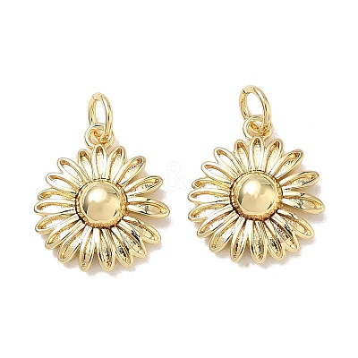 Brass Pendants KK-D289-20G-1