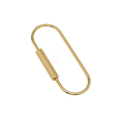 Brass Screw Carabiner Lock Charms KK-ZX025-64C-1