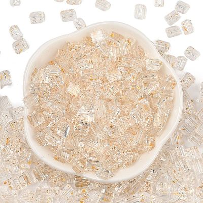 Transparent Spray Painted Glass Seed Beads SEED-L011-10A-05-1