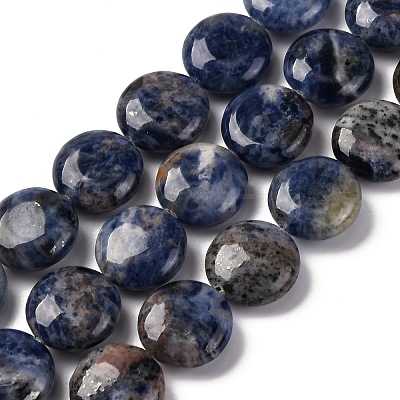 Natural Sodalite Beads Strands G-C159-A09-01-1