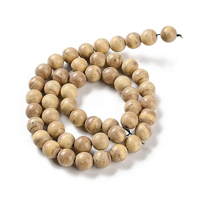 Natural Rainbow Alashan Agate Beads Strands G-NH0022-A06-02-1