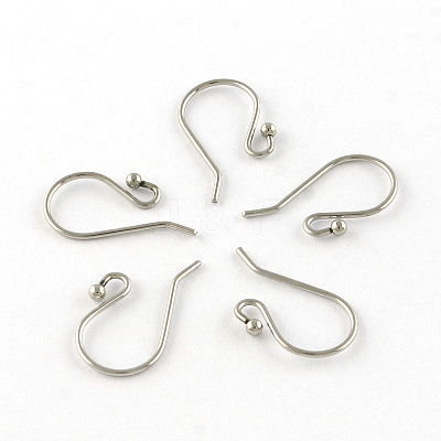 Tarnish Resistant 201 Stainless Steel Earring Hooks X-STAS-R063-33-1