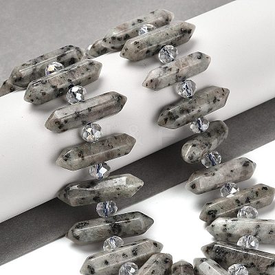 Natural Sesame Jasper Double Terminated Point Beads Strands G-H069-B05-01-1
