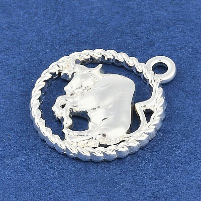Twelve Constellations Alloy Pendants PALLOY-Q006-01I-S-1