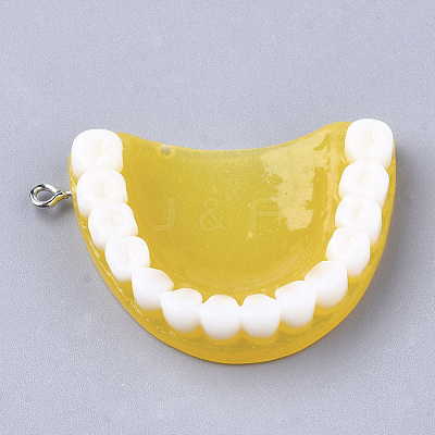 Resin Pendants RESI-T028-14-1