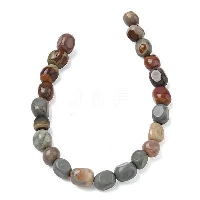 Natural Alashan Agate Beads Strands G-C286-A10-1