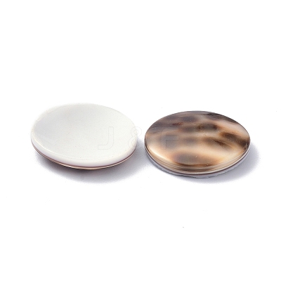 Tiger Cowrie Shell Cabochons BSHE-Z002-11-1