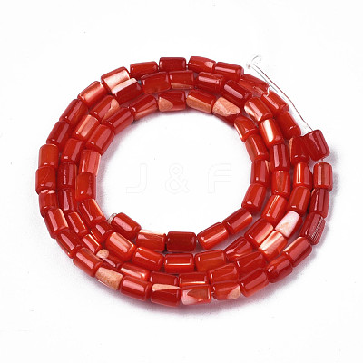 Natural Trochid Shell/Trochus Shell Beads Strands SHEL-N003-26-B03-1