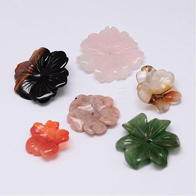 Mixed Natural Gemstone Beads G-F385-52-1