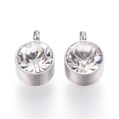 304 Stainless Steel Charms STAS-G118-05-1