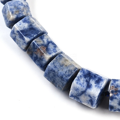 Natural Blue Spot Jasper Hexagon Prism Graduated Beaded Necklaces for Women Men NJEW-K388-03C-1