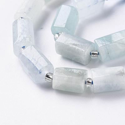 Natural Aquamarine Beads Strands X-G-S345-8x11-005-1