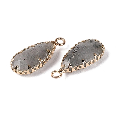 Natural Labradorite Faceted Pendants G-Q606-104G-04-1