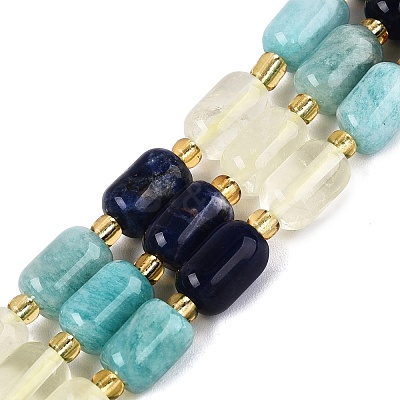 Natural Sodalite & Flower Amazonite & Lemon Quartz Beads Strands G-Q614-02A-03-1