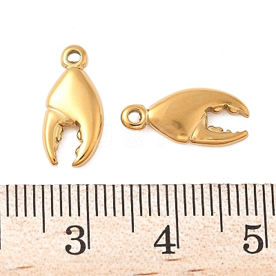 304 Stainless Steel Charms STAS-K306-14G-1