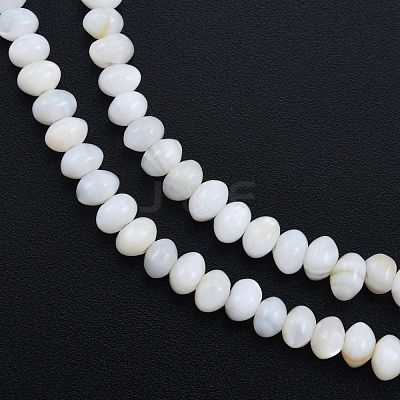 Natural Freshwater Shell Beads Strands SHEL-G013-03B-1