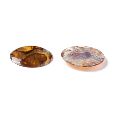 Paua Shell Cabochons SSHEL-C008-08-1