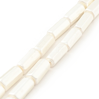 Electroplated Shell Pearl Beads Strands BSHE-G027-08A-1