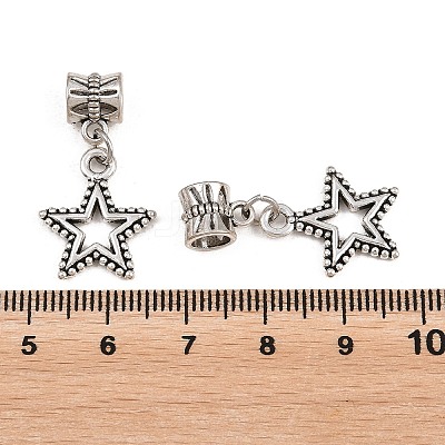 Alloy European Dangle Charms PALLOY-YW001-06-1