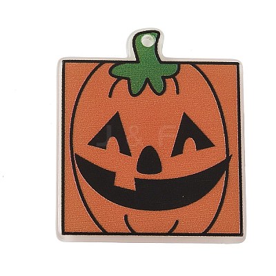 Printed Acrylic Pendants SACR-B008-04C-1