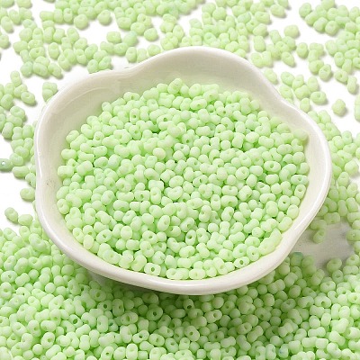 Glass Frosted Seed Beads SEED-K009-05B-06-1