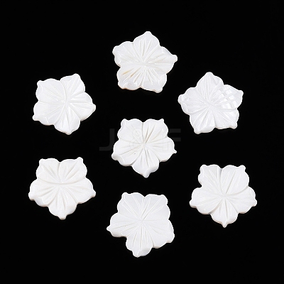 Natural Freshwater Shell Carved Cabochons SSHEL-T017-03-1