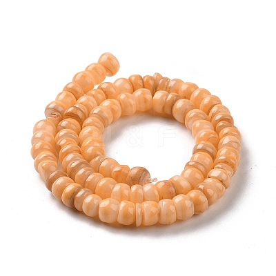 Natural Cultured Freshwater Shell Beads Strands SHEL-F002-01E-1