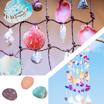 Dyed Natural Shell Beads BSHE-PH0003-02-1