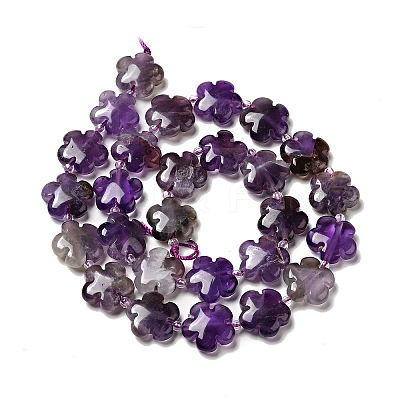 Natural Amethyst Beads Strands G-D475-02K-1