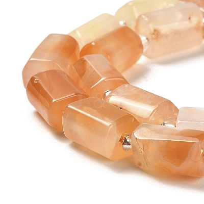 Natural Orange Botswana Agate Beads Strands G-N327-06-31-1