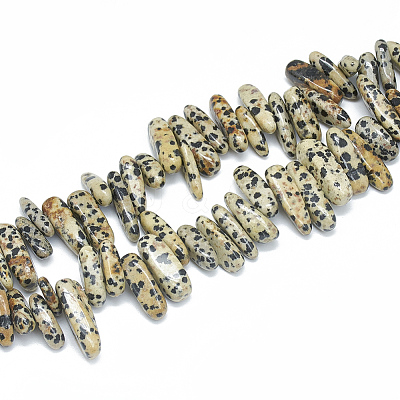 Natural Dalmatian Jasper Beads Strands X-G-S312-09-1