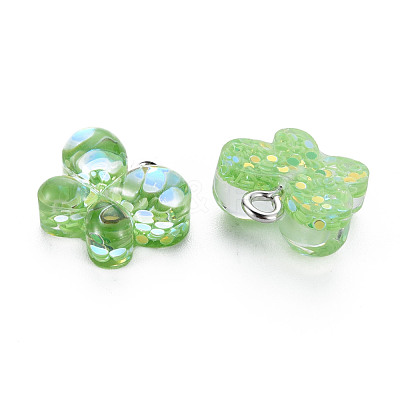Epoxy Resin Charms X-RESI-S400-003-1