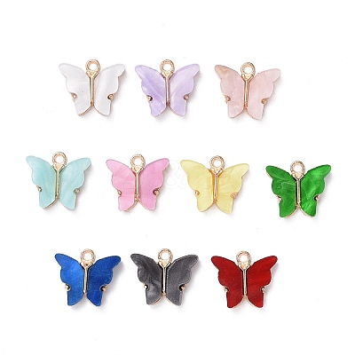 Alloy Acrylic Pendants X-ENAM-R136-01-1