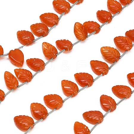 Natural Carnelian Carved Beads Strands GG-CBA0C95-E06-1