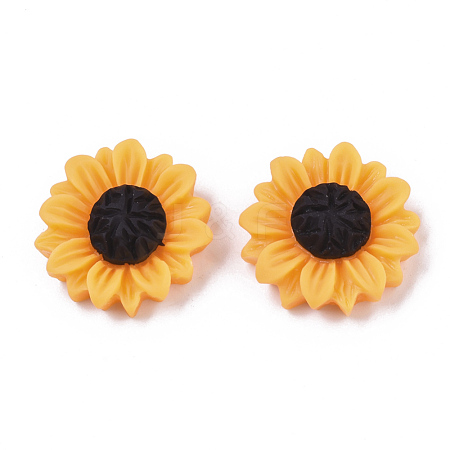 Resin Cabochons CRES-T010-57A-1