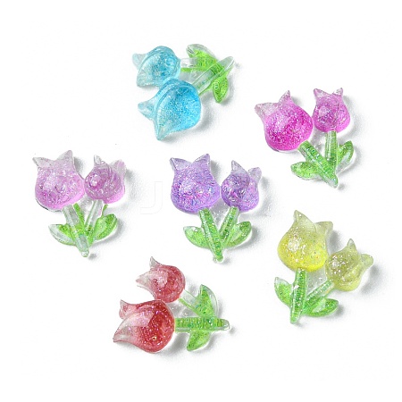 Translucent Resin Cabochons RESI-E039-21-1
