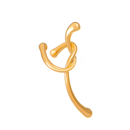 Alloy Cuff Earrings FS-WG8BA33-04-1