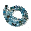 Dyed & Heated Natural Agate Beads Strands G-P539-G01-3